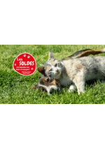 Prospectus Médor & Compagnie : Les soldes sont là !!