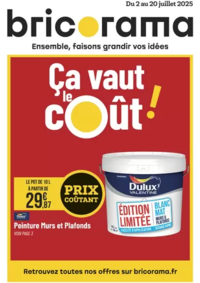 Prospectus Bricorama NICE : Ça vaut le cout!