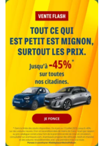 Promos et remises  : Vente Flash