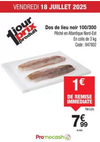 Prospectus Promocash Caudan : Catalogue Promocash