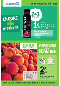 Prospectus E.Leclerc LEOGNAN : TRAFIC POUVOIR ACHAT 9 - MIXTE