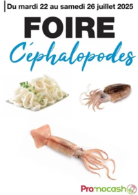 Prospectus Promocash Clermont-Ferrand : Catalogue Promocash