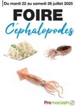 Promos et remises  : Catalogue Promocash