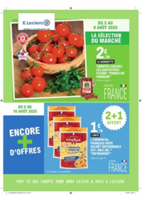 Prospectus E.Leclerc LIMOUX : TRAFIC POUVOIR ACHAT 10 - MIXTE