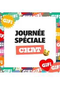 Prospectus Gifi : Une journée spéciale pour lui