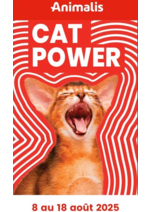Prospectus Animalis : Cat power