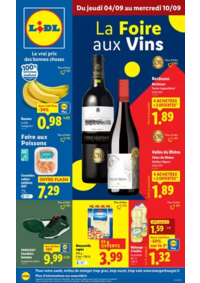 Prospectus Lidl LANNEMEZAN : Découvrez une sélection de vins uniques et de qualités à prix Lidl pour sublimer vos repas