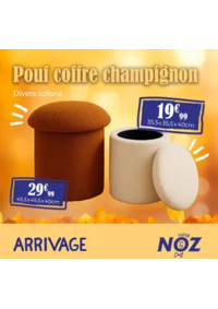 Prospectus Noz Saint Parres aux Tertres : Pouf coffre champignon