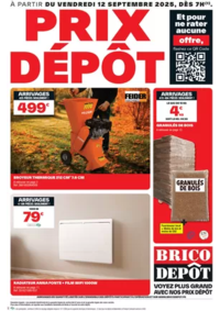 Prospectus Brico Depot VILLETANEUSE : Les arrivages Brico Dépôt !