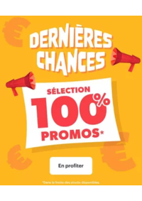 Prospectus Chronodrive MIONS ST PRIEST : En Promos