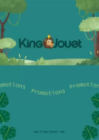 Prospectus KING JOUET HALLUIN : Promotions