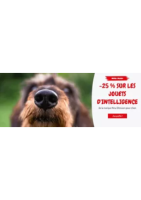 Prospectus Médor et compagnie Moulins Les Metz : -25 % sur les jouets d'intelligence