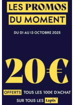 Prospectus Saint Maclou : Tapis