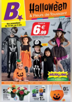 Halloween & Fleurs de Toussaint - Bazarland