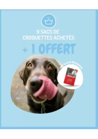 Prospectus Médor & Compagnie Saint-Gervais-la-Forêt : 9 sacs de croquettes achetés + 1 sac OFFERT