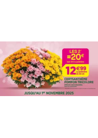 Prospectus Delbard Le Puy Sainte Réparade : Célébrons la Toussaint ensemble !