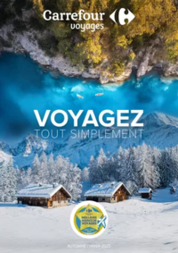 Prospectus Carrefour Voyages DIJON : Voyagez Tout Simplement